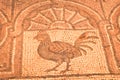Petra, Jordan - 7th october, 2022: bird mosaic art in byzantine church in Petra historical site Royalty Free Stock Photo