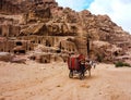 PETRA, JORDAN: Tourist transport carriage in Petra. Petra, Jordan