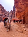 Petra Jordan Wadi Rum