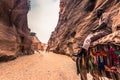 Petra - October 01, 2018: Camel riders in the ancient city of Petra, Wonder of the World, Jordan