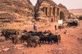 Petra - October 01, 2018: Goats at the monastery of the ancient city of Petra, Wonder of the World, Jordan
