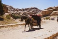 Petra is a historical and archaeological city in southern Jordan