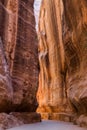 Petra`s famous Siq bathed in golden sunset light