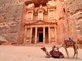 Petra Treasury and camels