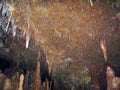 Petralona cave, Greece- may 25, 2007: Ancient karst cave with stalactites and stalagmites Royalty Free Stock Photo