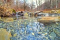 Petrechema River, Beech Forest of Gamueta, Valles Occidentales Natural Park, Spain