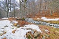 Petrechema River, Beech Forest of Gamueta, Linza Valley, Valles Occidentales Natural Park