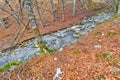 Petrechema River, Valles Occidentales Natural Park, Spain