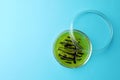 Petri dish with bacteria colony on light blue background, top view. Space for text Royalty Free Stock Photo