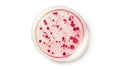 Petri dish with bacteria isolated on white, top view Royalty Free Stock Photo