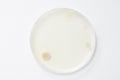 Petri dish and culture media with bacteria on white background with clipping, solid media, nutrient agar, Test various germs.