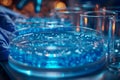 a petri dish filled with blue liquid on a table Royalty Free Stock Photo