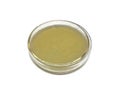 Petri dish have potato dextrose agar PDA or yellow agar jelly, isolated on white background.
