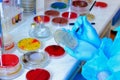 Petri dish. Microbiological laboratory Royalty Free Stock Photo
