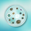 Petri dish with mold colonies Royalty Free Stock Photo