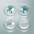 Petri dish with molds Royalty Free Stock Photo