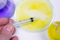 Petri dish with syringe with blood sample