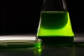 Petri dishand retort with green and blue with a chemical reagent. Chemical experiment with Laboratory glass Royalty Free Stock Photo