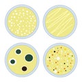 Petri dishes