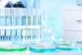 Petri dishes with liquid on table in laboratory Royalty Free Stock Photo