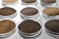 Petri dishes with soil samples on table. Laboratory research Royalty Free Stock Photo