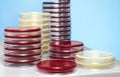 Petri dishes stacked in workbench of laboratory