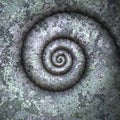 petrification spiral Royalty Free Stock Photo