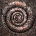 petrification spiral Royalty Free Stock Photo