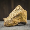 Petrified bone of a mammoth. archeology Royalty Free Stock Photo