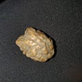 Petrified brain ancient pagan pagan rock ritual