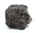 Petrified dinosaur dung Royalty Free Stock Photo
