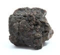 Petrified dinosaur dung