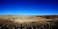 Petrified dunes at the sunset Royalty Free Stock Photo