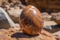 A petrified egg the remains of a dinosaur hidden within the rock. AI generation