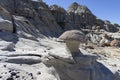 Petrified forest Argentina Royalty Free Stock Photo