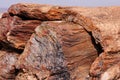 Petrified Forest, Arizona, USA Royalty Free Stock Photo