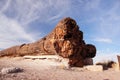 Petrified Forest, Arizona, USA Royalty Free Stock Photo