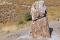 Petrified forest,lesbos Royalty Free Stock Photo