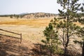 Petrified Forest Loop trail view in Florissant Fossil Beds National Monument in Colorado