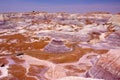 Petrified Forest National Park Royalty Free Stock Photo