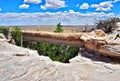 Agate Bridge at Petrified Forest National Park in Arizona Royalty Free Stock Photo