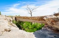 Petrified Forest National Park