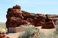 Petrified Forest Royalty Free Stock Photo