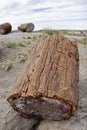 Petrified Forest National Park - Arizona.