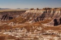 Petrified Forest National Park, Arizona USA Royalty Free Stock Photo