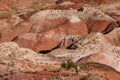 Petrified Forest National Park, Arizona USA Royalty Free Stock Photo