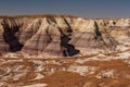 Petrified Forest National Park, Arizona USA Royalty Free Stock Photo