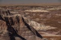 Petrified Forest National Park, Arizona USA Royalty Free Stock Photo