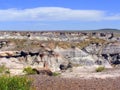 Petrified Forest National Park, Arizona, USA Royalty Free Stock Photo