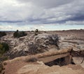 Petrified Forest National Park, Arizona, USA ,Agate Bridge Royalty Free Stock Photo